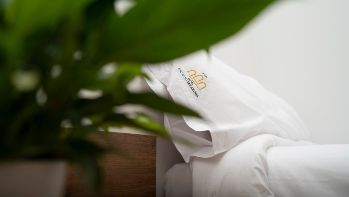 bcf2b9d7-7f30-4be1-8668-c02e56447b52